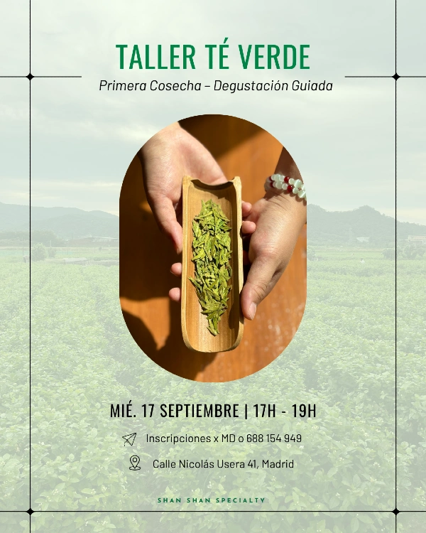 Cartel de taller de té verde con manos sujetando una madera con hierbas de té verde